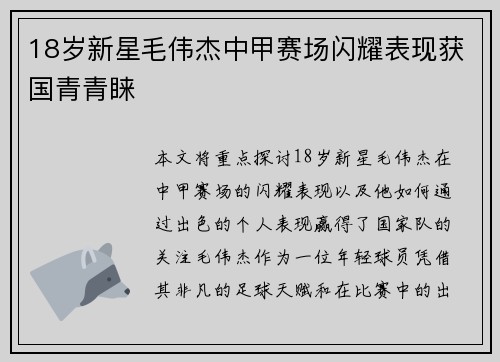 18岁新星毛伟杰中甲赛场闪耀表现获国青青睐