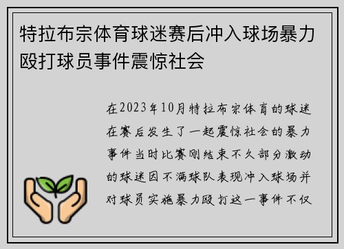 特拉布宗体育球迷赛后冲入球场暴力殴打球员事件震惊社会